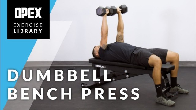 'Dumbbell Bench Press - OPEX Exercise Library'