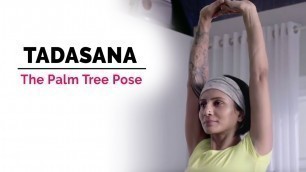 'Tadasana Yoga | Palm Tree Pose | Steps | Benefits | Yogic Fitness'