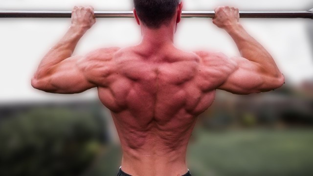 'The Best Exercise to Increase Pullups'