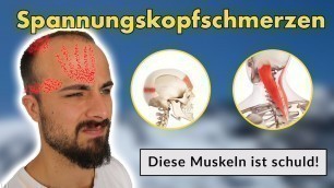 'Spannungskopfschmerzen ( ist eine Muskelverspannung) | Ursache & Lösung'