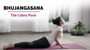 'Bhujangasana | Cobra Yoga Pose | Steps | Benefits | Yogic Fitness'