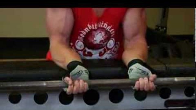 'Palms-Up Barbell Wrist Curl Over A Bench Bilek Hareketi Nasıl Yapılır - FitnessProgrami.com'