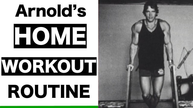 'I tried Arnold Schwarzenegger\'s Home Workout Routine | No Gym Bodyweight Follow Along Workout'