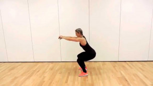 'EVOLVE FITNESS 365 - BODYWEIGHT SQUAT PULSES'