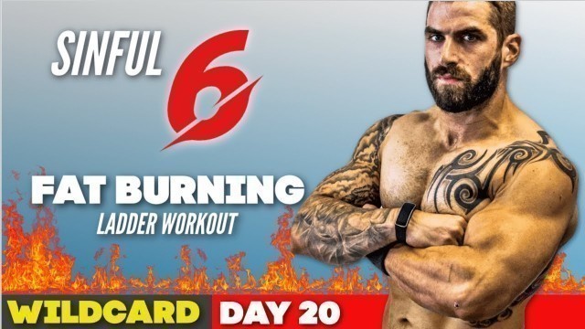 'WILDCARD | Sinful 6 Bodyweight Only Fat Burning ladder workout at home'