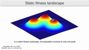 'Using fitness landscapes to visualize evolution in action'