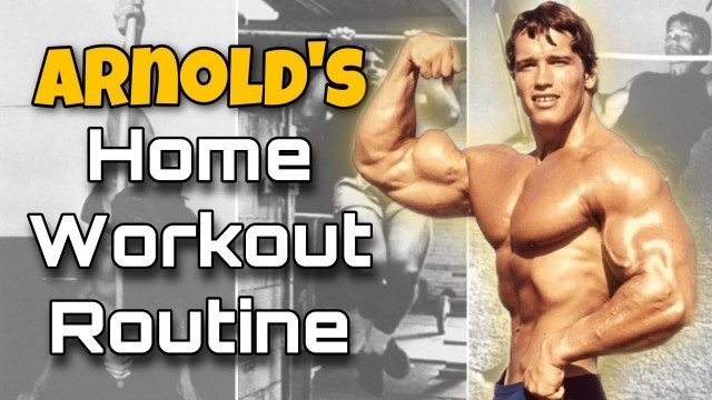 'I Tried Arnold Schwarzenegger Home Workout Routine'