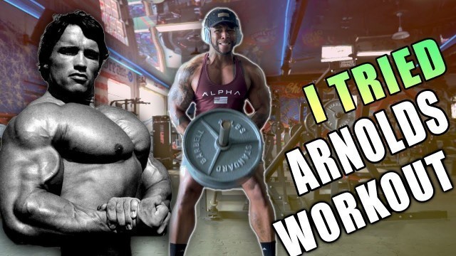 'I Tried \"Arnold Schwarzenegger\" Insane Chest & Back Workout'