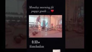 'Samantha akkineni latest online fitness videos with her cute dogs'