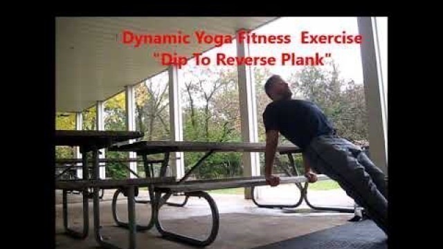 'BACK BUILDING - DIP TO REVERSE PLANK- DYNAMIC YOGA FITNESS'