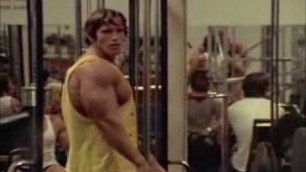 'Arnold Schwarzenegger VS Lou Ferrigno'