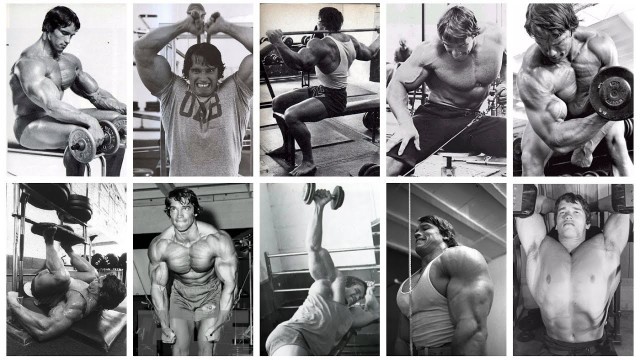 'ARNOLD SCHWARZENEGGER | ALL EXERCISES'