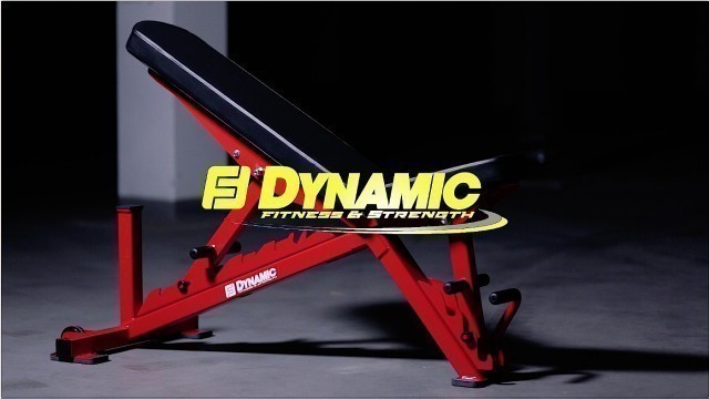 'Accell Adjustable Bench - Dynamic Fitness & Strength'