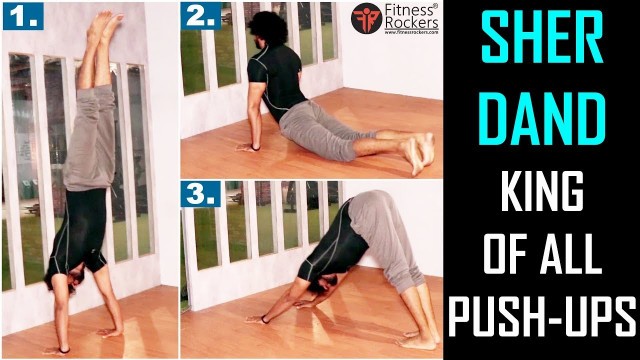 'HINDU PUSH UP (10/12 - शेर दंड Handstand Pushups) | Advance Indian push ups & desi dand baithak'