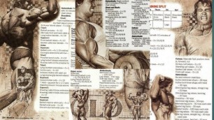 'Arnold Schwarzenegger Training routine. Arnold Schwarzenegger workout plan.'