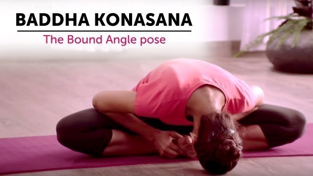 'Baddha Konasana | The Bound Angle pose | Steps | Yogic Fitness'