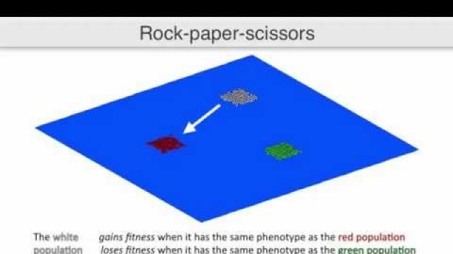 'Visualizing coevolution in dynamic fitness landscapes'