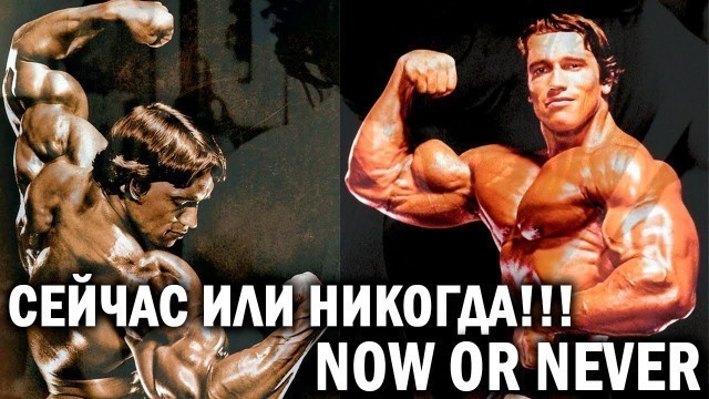 'АРНОЛЬД ШВАРЦЕНЕГГЕР БОДИБИЛДИНГ МОТИВАЦИЯ - BODYBUILDING FITNESS MOTIVATION - ARNOLD SCHWARZENEGGER'