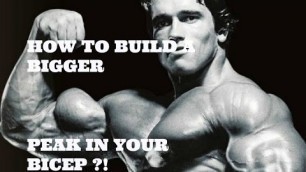 'How to build a bigger peak in your bicep like ARNOLD SCHWARZENEGGER'