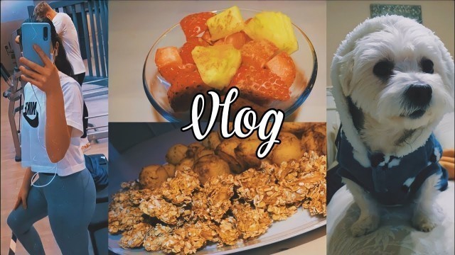 'VLOG + ¿CÓMO HACER  las MEJORES  PATATAS FITNESS del mundo y el POLLO del KFC FIT?(AIR FRYER)'