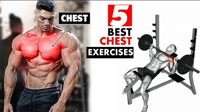 'Best 5 Chest Exercises For A Chest Like Arnold Schwarzenegger | Chest Workout'