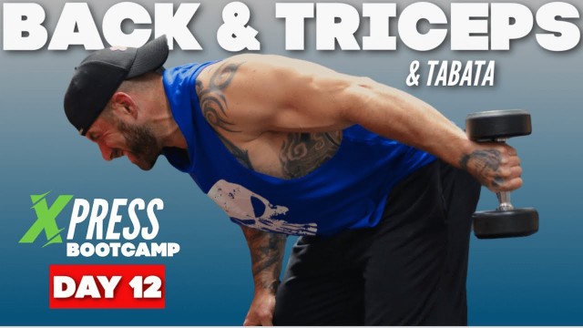 '20 Min Back And Tricep Workout At Home | Bootcamp Day 12'