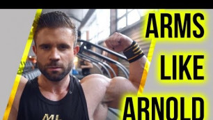 'ARM SHREDDER WORKOUT - ARMS LIKE ARNOLD SCHWARZENEGGER'